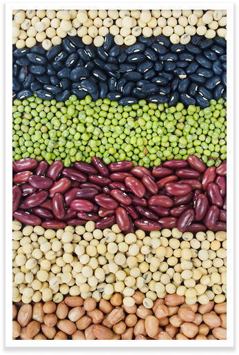 duration protection img